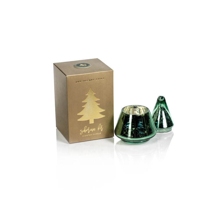 Zodax Siberian Fir Scented Jar Candle with Glass Holder Wayfair Canada